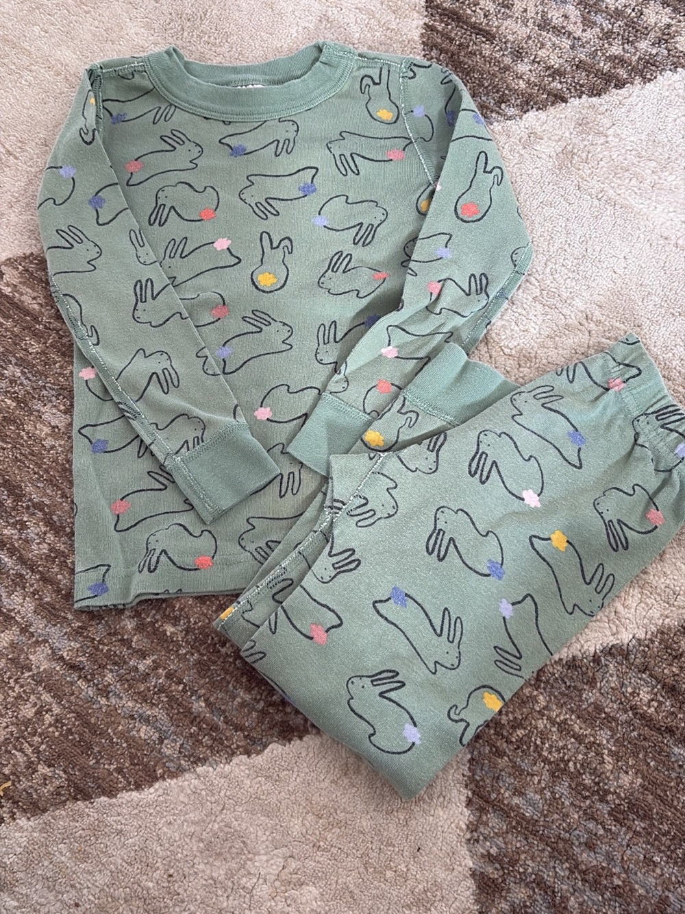 Hanna Andersson Sage Green Bunny Pajama Set with Pink, Purple, Yellow Accents